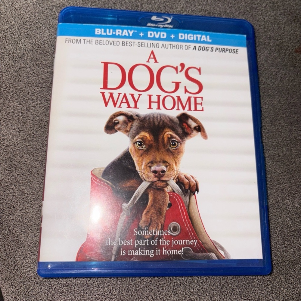 A Dog's Way Home Blu-ray DVD Digital